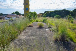 CMEI abandonado em Jardim Alto Paraíso (Foto: Jucimar de Sousa/MaisGoiás)
