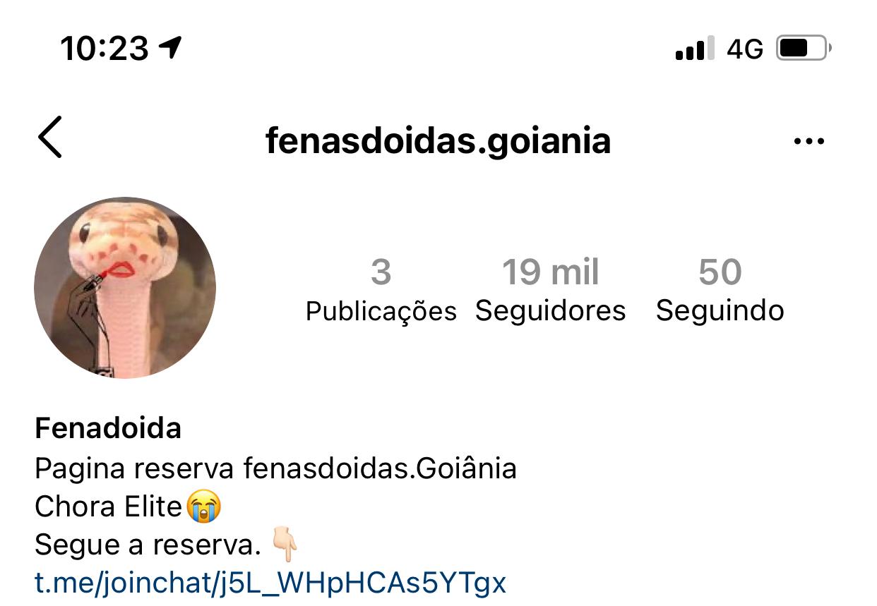 Perfil alvo da investigação (Print: PC)