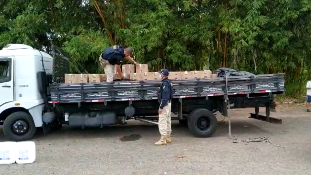 Mercadoria está avaliada em R$ 3 milhões e seria levada para o estado do Tocantins