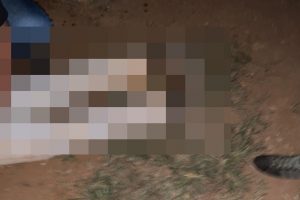 Um homem de 24 anos foi preso preventivamente na quinta-feira (22) suspeito de ter assassinado um amigo a pauladas, em Porteirão. (Foto: divulgação/Polícia Civil)