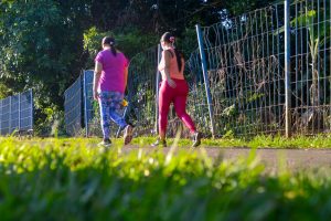 Parque Tamanduá, área verde em Aparecida (Foto: Jucimar de Sousa/MaisGoiás)