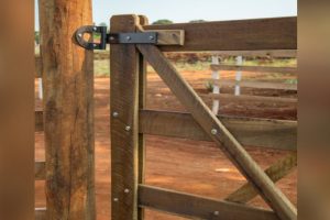 Uma idosa moveu ação contra o filho para que ele tranque a porteira localizada na propriedade da família, em Itaguari. (Foto ilustrativa: Freepik)