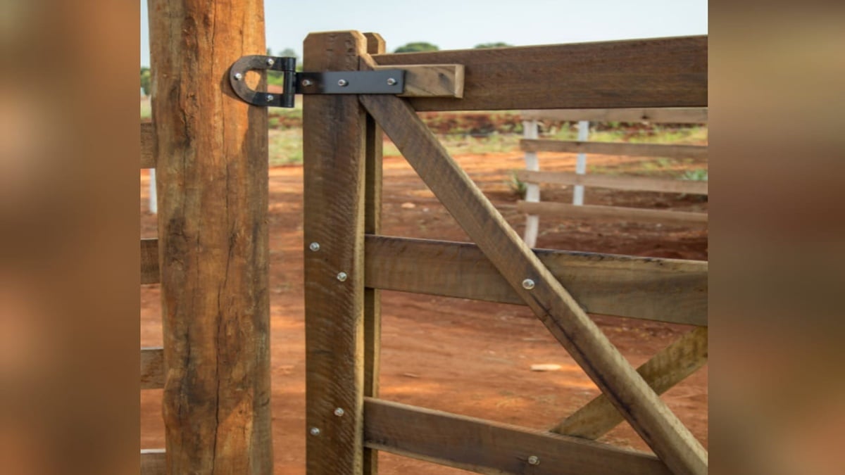 Uma idosa moveu ação contra o filho para que ele tranque a porteira localizada na propriedade da família, em Itaguari. (Foto ilustrativa: Freepik)