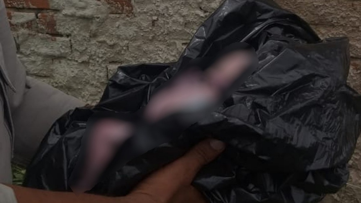 A mulher que abandonou um bebê em Nerópolis disse cometeu o crime por medo da reação do marido e da mãe dela. (Foto: PM/ Divulgação)