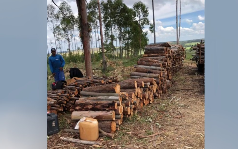 Polícia encontra 11 pessoas trabalhando em regime análogo à escravidão em Abadiânia