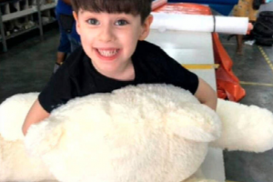 Henry Borel (Foto: Reprodução)