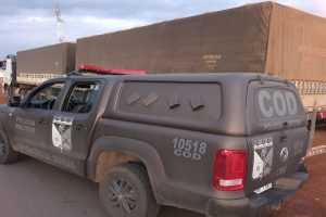 A Polícia Militar (PM) apreendeu uma carga de feijão avaliada em R$ 250 mil e que não possuía documentação, em Formosa. (Foto: divulgação/PM)