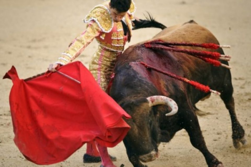 Touradas realizadas na Espanha (Foto: Divulgação)