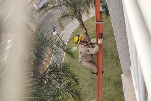 Bombeiros entram por janela de prédio para salvar criança trancada em quarto