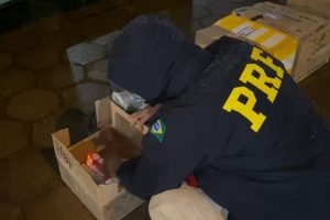 Em Planaltina, PRF apreende maconha transportada em bagageiro de ônibus