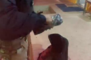 Preso com drogas, motorista de ônibus diz que não sabia de carga paga com R$ 50