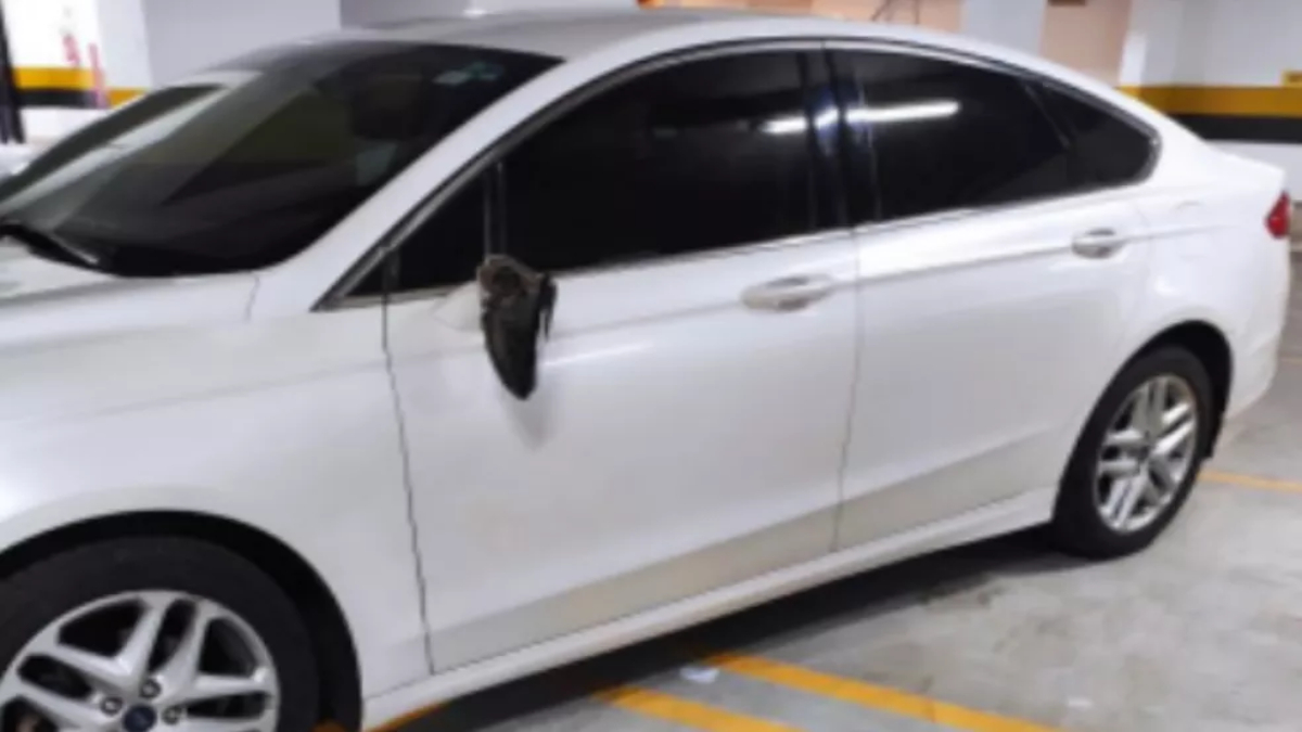 Revoltado com morte de cadela, homem agride esposa e quebra carro de luxo dela