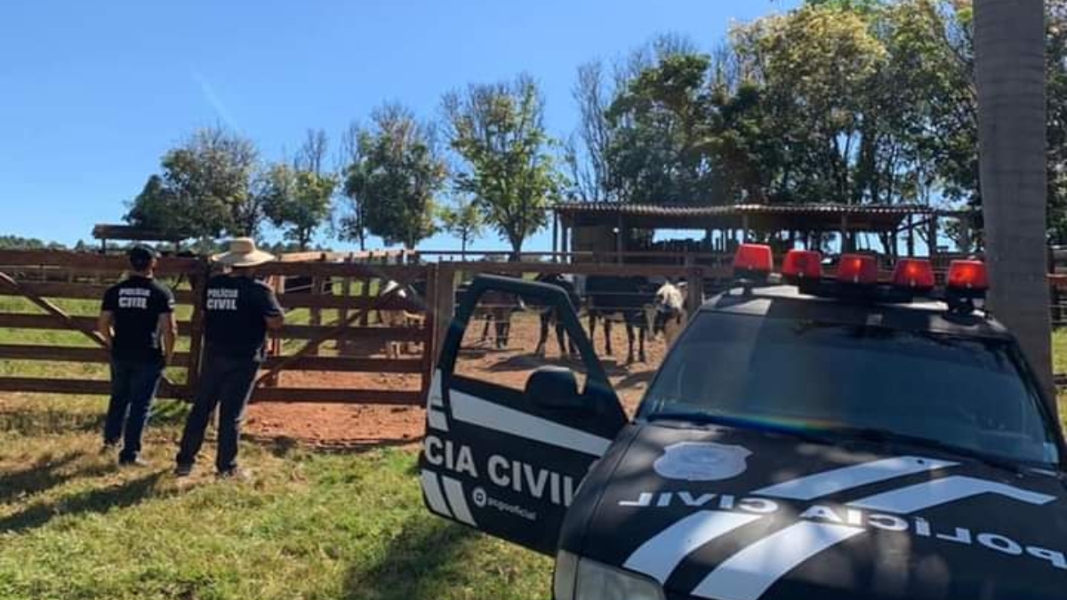 Após morte de fazendeiro, gado avaliado em R$ 40 mil é furtado em Morrinhos