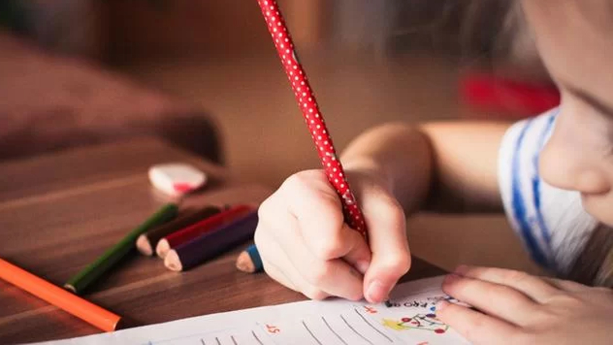 Turvelândia anuncia retorno das aulas de forma remota a partir de segunda-feira (2)