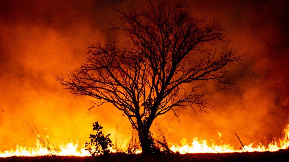 Março tem o menor número de incêndios urbanos dos últimos 14 meses em Goiás