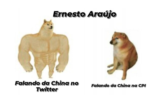 Meme sobre depoimento do ex-chanceler Ernesto Araújo na CPI da Covid