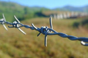 Justiça nega indenização a família de trabalhador que se acidentou em dia de folga, em Formosa