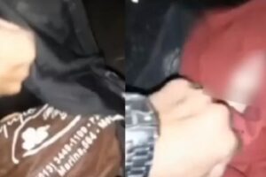 Um recém-nascido foi encontrado dentro de uma mochila num matagal em Mongaguá (SP). O bebê ainda estava com o cordãoGuiados por choro, moradores acham bebê dentro de mochila em matagal de SP