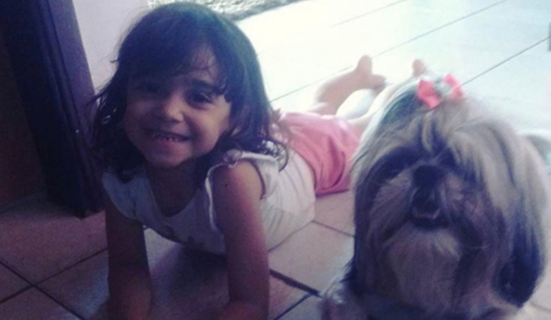- Lilica- Cachorra morre ao evitar que pitbull - Larah Milano, de 8 anos, escapou do ataque de um pitbull graças a sua cachorra de estimação, Lilica. A shih-tzu entrou na frente da menina, - atacasse criança em SP