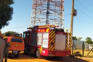 Abelhas atacam homem que trabalhava em torre de 20 metros de altura, em Anápolis