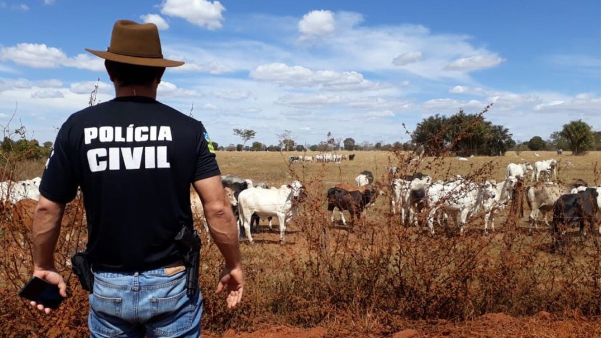 Preso suspeito de roubar 19 cabeças de gado, avaliados em R$ 100 mil, em Rubiataba. Proprietário da fazenda diz que foi amarrado