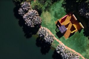 Instituto Inhotim promove visitação virtual