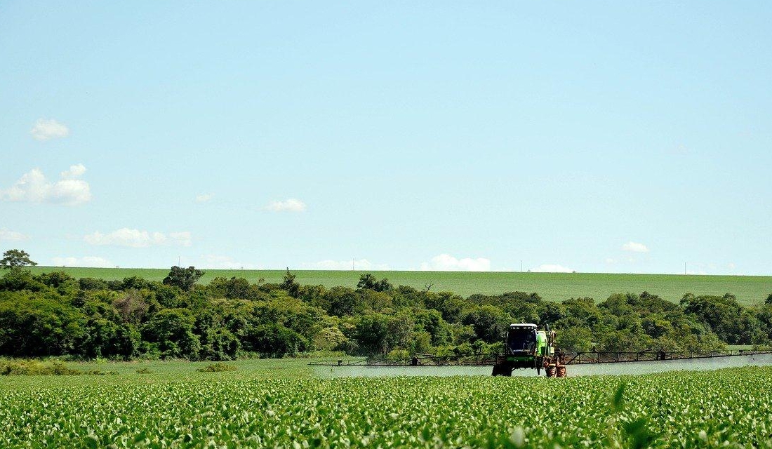 O glifosato é o agrotóxico mais popular do Brasil. Ele representa 62% do total de herbicidas usados no país e, em 2016, as vendas - Agrotóxico mais usado do Brasil está associado a 503 mortes infantis por ano, revela estudo