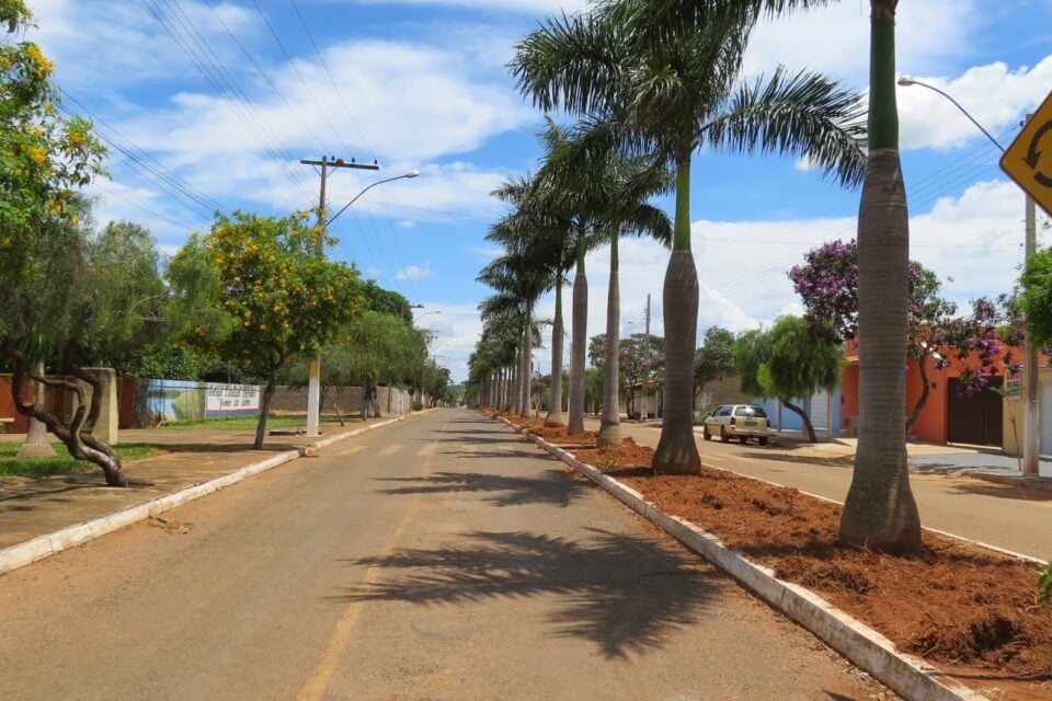 Divulgação