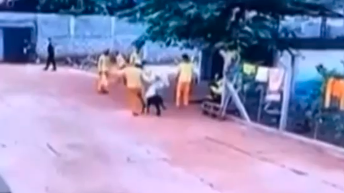 Homem é condenado a três anos de prisão por matar cão com um chute, em Cachoeira Alta