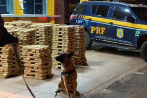 A Polícia Rodoviária Federal apreendeu quase duas toneladas de maconha em rodovias federais que passam por Goiás.