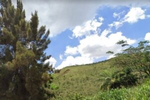 Queda do helicóptero aconteceu em região de mata, em Belo Horizonte. Quatro pessoas ficaram levemente feridas (Foto: reprodução/R7)