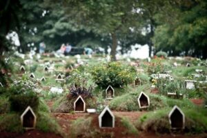 Venda de ossadas do cemitério Vila Formosa, em São Paulo, desafia a polícia (Foto: Divulgação)