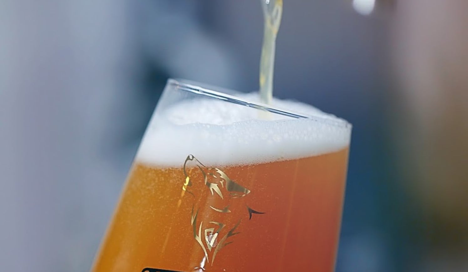 Chope em Goiânia no Local Chope Artesanal