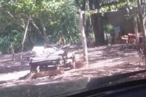 A Polícia Civil em Mato Grosso do Sul resgatou, nesta terça-feira (4), uma advogada de 56 anos que estava trabalhando em uma chácara Advogada é resgatada após sofrer golpe e passar 6 meses em trabalho forçado