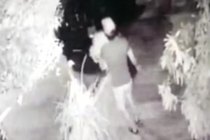 Preso suspeito de furtar 60 vasos de plantas para decorar casa, em Catalão