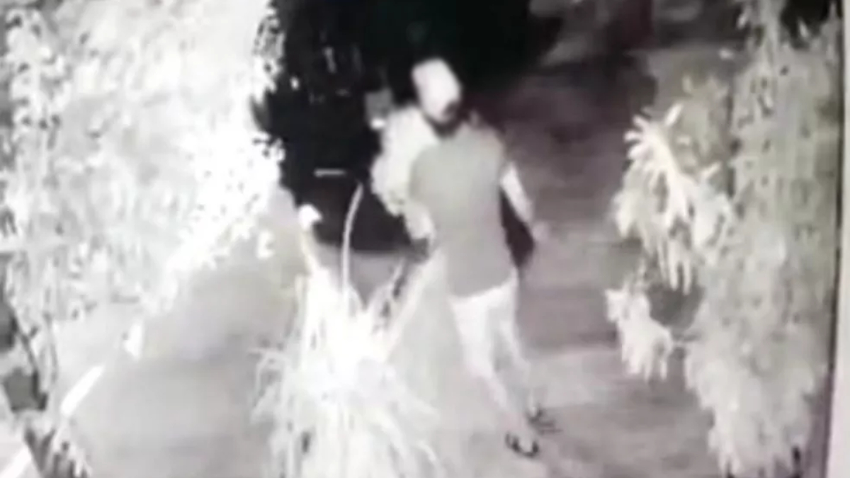 Preso suspeito de furtar 60 vasos de plantas para decorar casa, em Catalão