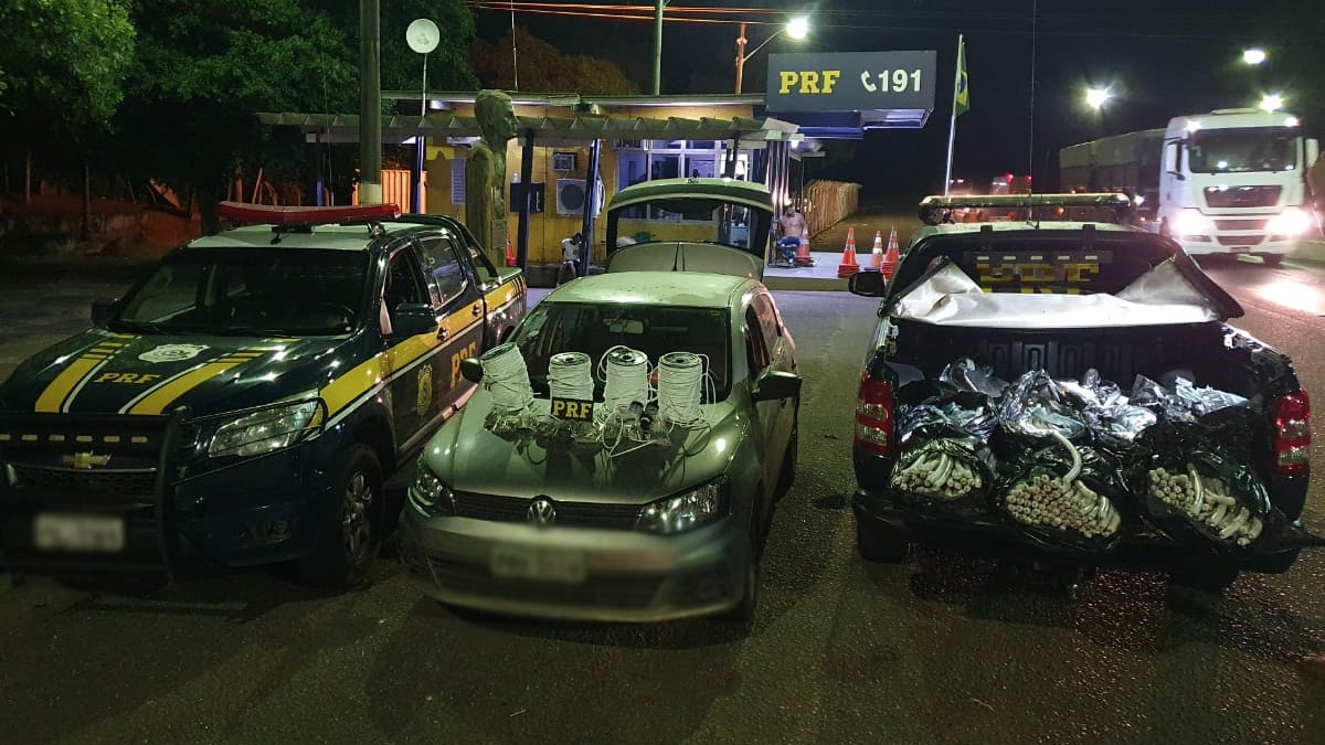 Carga com cerca de 300 kg de explosivos é apreendida com garimpeiros, em Campinorte