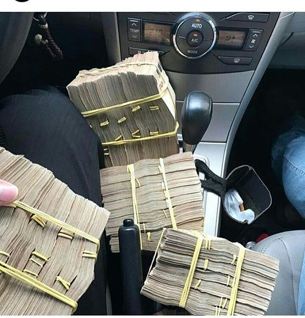 Animal começou a cavar o quintal assim que os agentes chegaram na residência. Cachorro ficou sob cuidados dos policiais