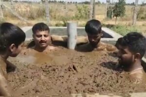 Médicos da Índia pedem que população não use esterco contra Covid-19