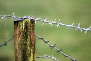 Ao todo, foram registradas 2.054 ocorrências envolvendo quase 1 milhão de pessoas