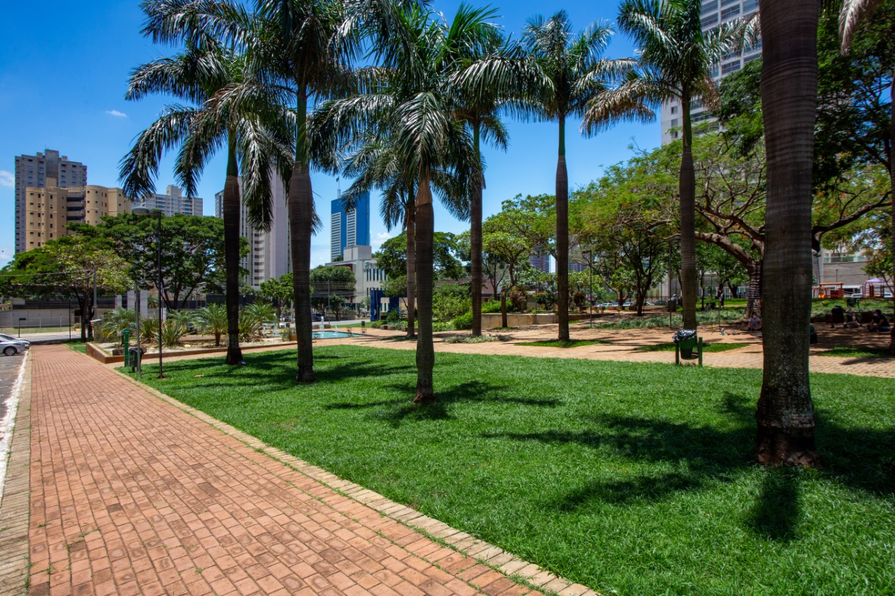 Praça da T-23 recebe a exposção "Ninhos Urbanos"