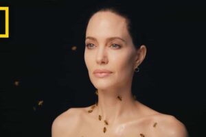 Angelina Jolie faz ensaio coberta de abelhas e diz ter ficado sem banho