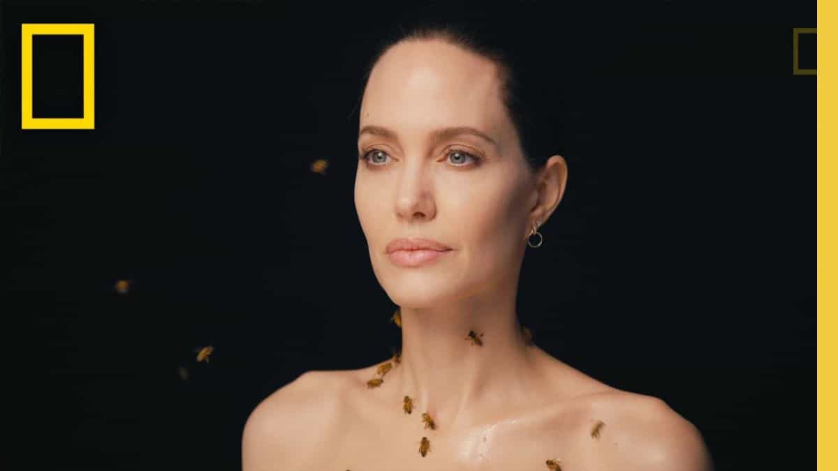 Angelina Jolie faz ensaio coberta de abelhas e diz ter ficado sem banho