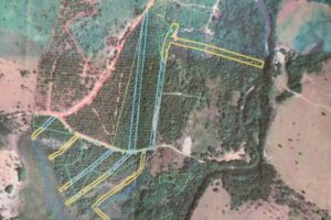 Polícia interdita obra que desmatou ilegalmente área de preservação em Mineiros (Foto: Reprodução/Polícia Civil)