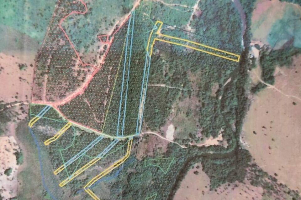 Polícia interdita obra que desmatou ilegalmente área de preservação em Mineiros (Foto: Reprodução/Polícia Civil)