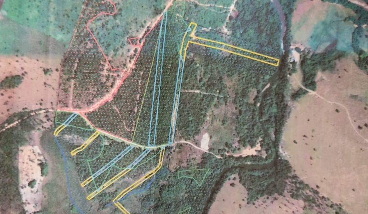 Polícia interdita obra que desmatou ilegalmente área de preservação em Mineiros (Foto: Reprodução/Polícia Civil)