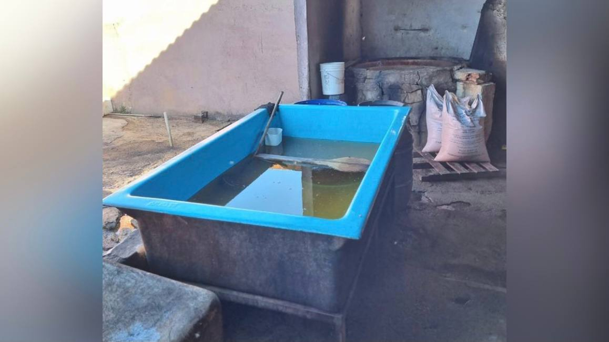 Polícia apreende 1,5 tonelada de rapadura imprópria para consumo, em Terezópolis