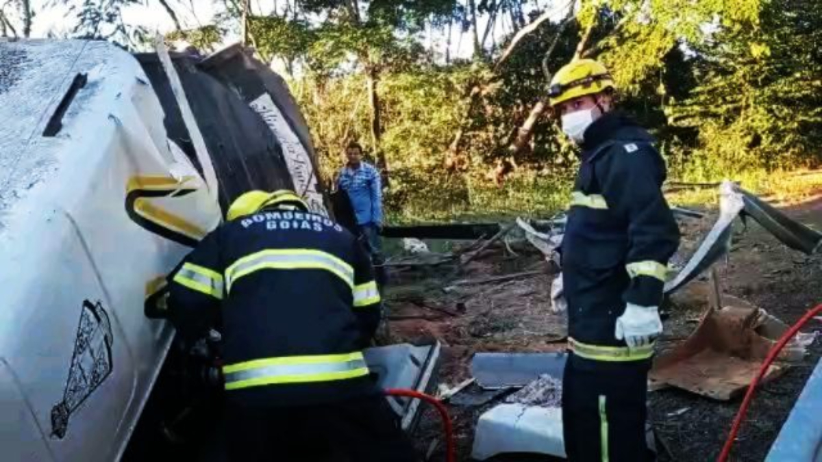 Caminhoneiro morre após colidir veículo carregado de bovinos, na GO-241 
(Foto: Divulgação/Bombeiros)