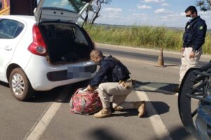 - A Polícia Rodoviária Federal (PRF) prendeu na tarde desta quinta-feira (20) um casal suspeito de tráfico de drogasCasal diz estar com covid para não ser abordado, mas é preso com 18 kg de droga no DF