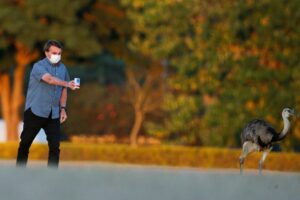 Bolsonaro defendeu uso de cloroquina em 23 discursos oficiais; leia as frases